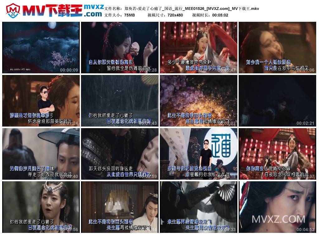 郑奂若-爱走了心痛了_国语_流行_MEE01526